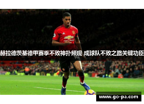 赫拉德茨基德甲赛季不败神扑频现 成球队不败之路关键功臣